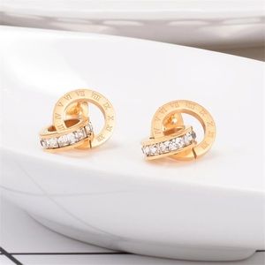 NWOT Woman Fashion Earrings